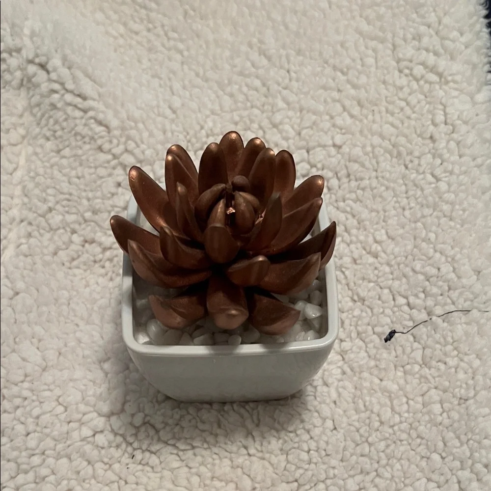 Copper Succulent Decorative Cactus Accent in White Planter